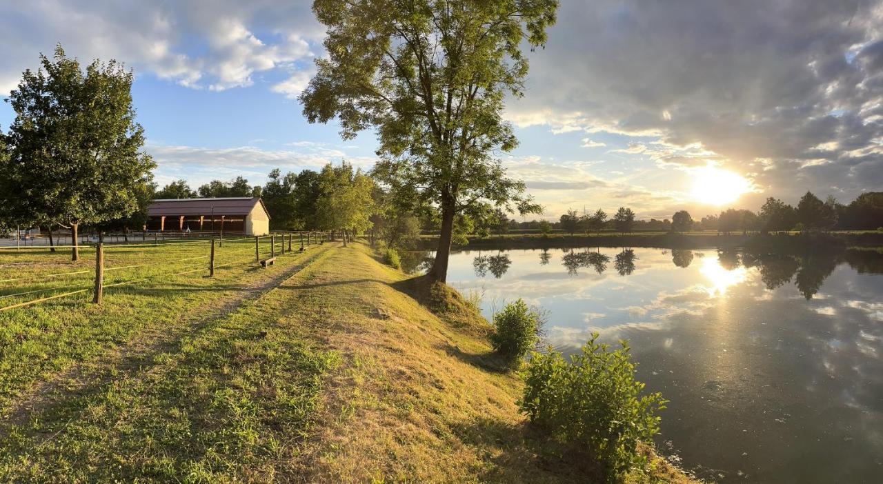 Apartment Country House Zaton Tisina Buitenkant foto